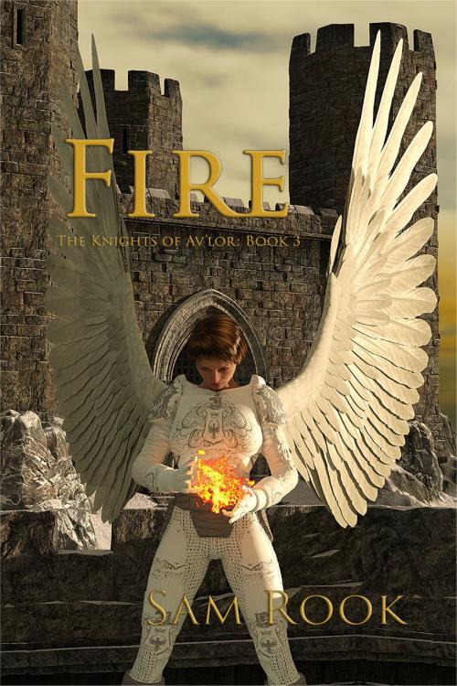 Cover of the book Fire by Sam Rook, Sam Rook