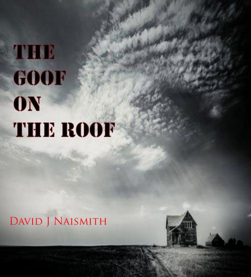 Cover of the book The Goof on the Roof by David Naismith, David Naismith