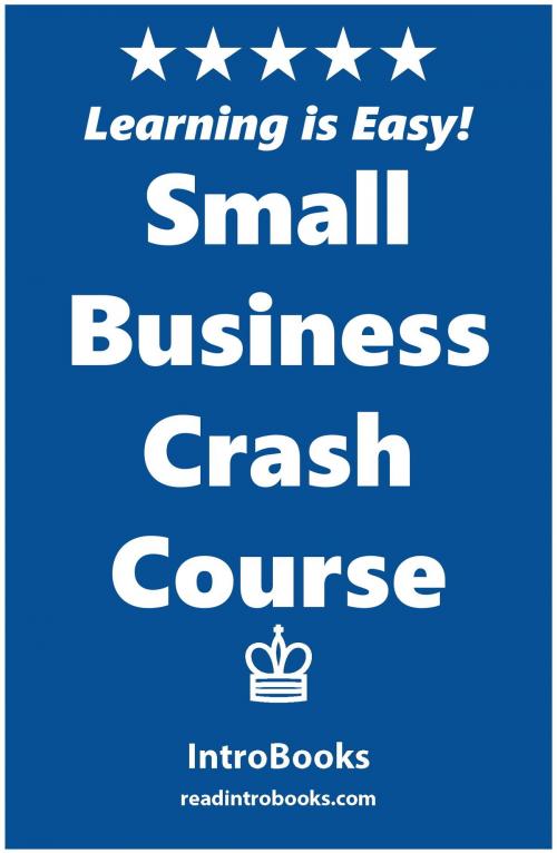 Cover of the book Small Business Crash Course by IntroBooks, IntroBooks