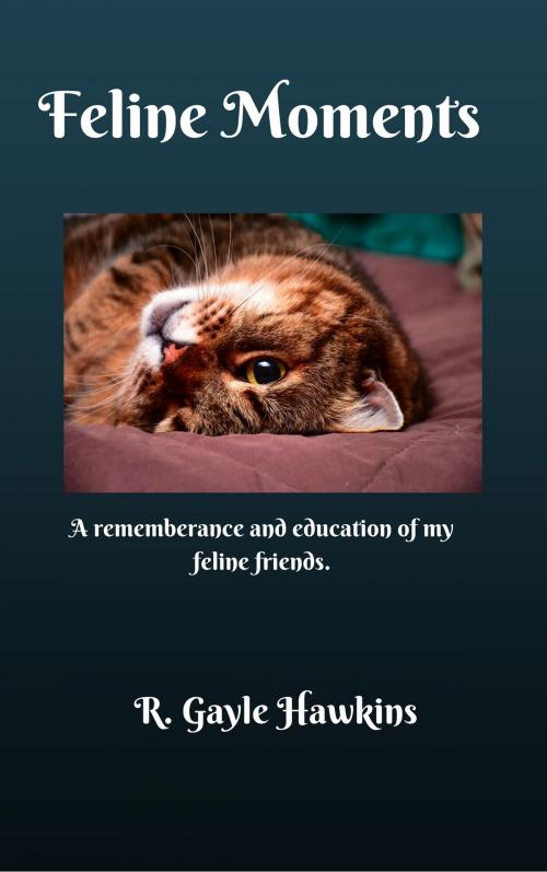 Cover of the book Feline Moments by R. Gayle Hawkins, R. Gayle Hawkins