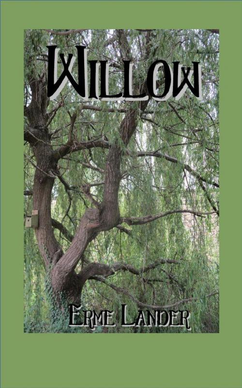 Cover of the book Willow by Erme Lander, Erme Lander