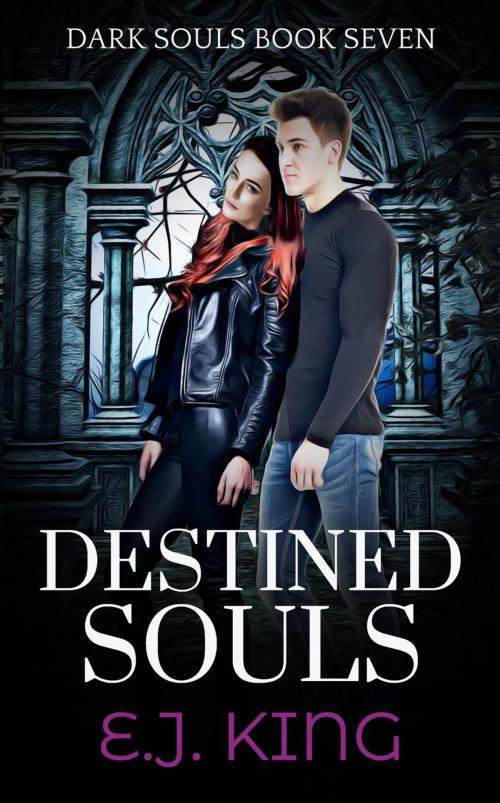 Cover of the book Destined Souls by E.J. King, E.J. King
