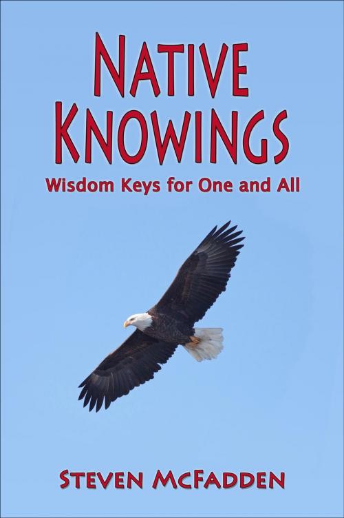 Cover of the book Native Knowings by Steven McFadden, Soul*Sparks