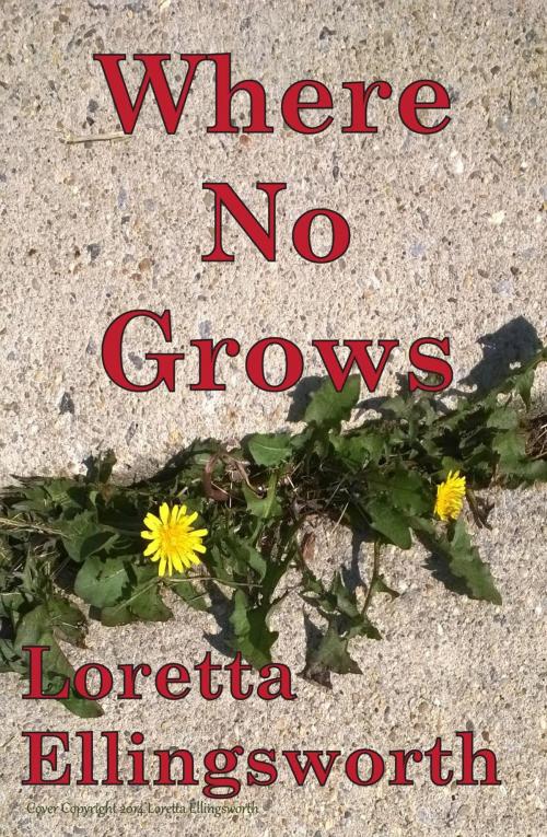 Cover of the book Where No Grows by Loretta Ellingsworth, Loretta Ellingsworth