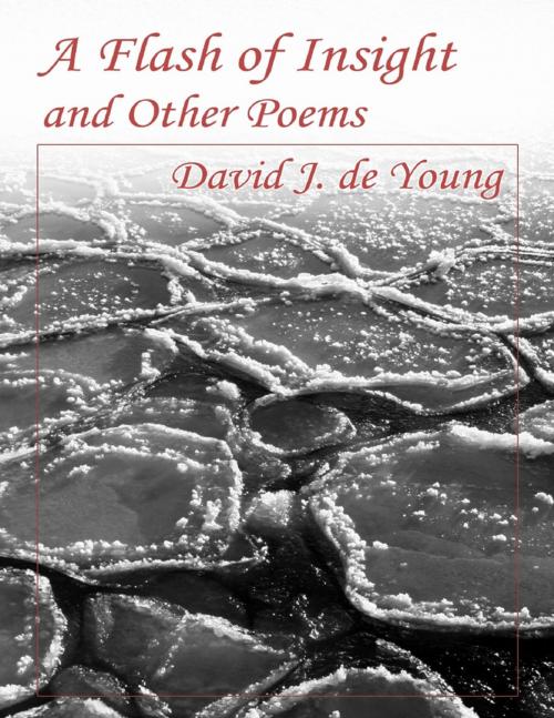 Cover of the book A Flash of Insight and Other Poems by David J. de Young, Lulu.com