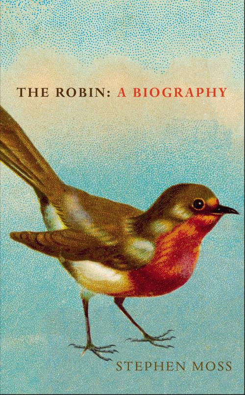 Cover of the book The Robin by Stephen Moss, Random House