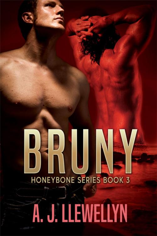 Cover of the book Bruny by A.J. Llewellyn, eXtasy Books Inc