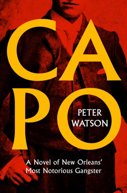 Cover of the book Capo by Peter Watson, MysteriousPress.com/Open Road