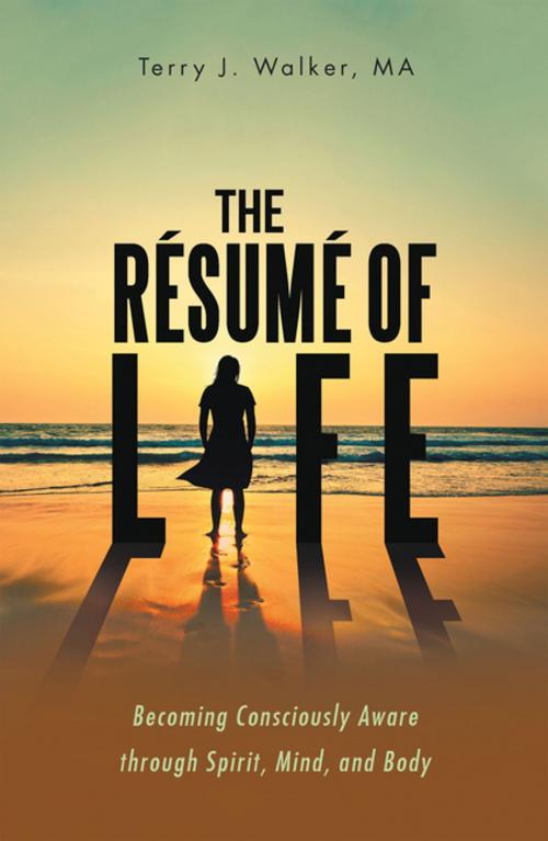 Cover of the book The Résumé of Life by Terry J. Walker MA, Balboa Press