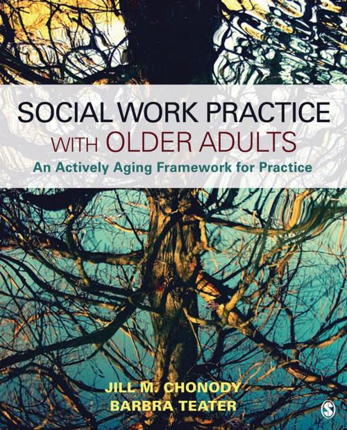 Cover of the book Social Work Practice With Older Adults by Barbra A. Teater, Jill M. Chonody, SAGE Publications