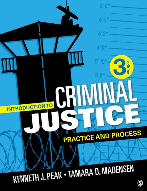 Cover of the book Introduction to Criminal Justice by Dr. Kenneth J. Peak, Tamara D. Madensen-Herold, SAGE Publications