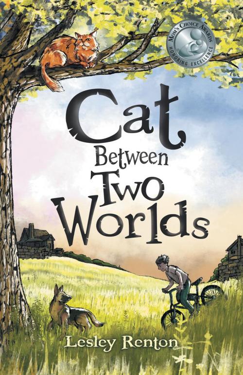 Cover of the book Cat Between Two Worlds by Lesley Renton, FriesenPress