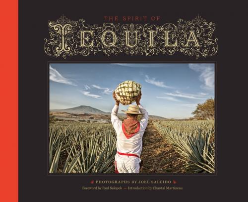 Cover of the book The Spirit of Tequila by , Trinity University Press