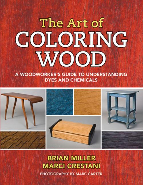 Cover of the book The Art of Coloring Wood by Brian Miller, Marci Crestani, Linden Publishing