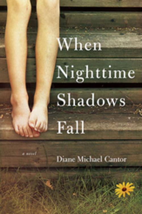 Cover of the book When Nighttime Shadows Fall by Diane Michael Cantor, University of South Carolina Press