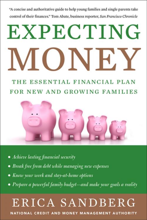 Cover of the book Expecting Money by Erica Sandberg, Graymalkin Media