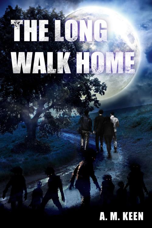 Cover of the book The Long Walk Home by A.M. Keen, Andrews UK