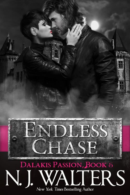 Cover of the book Endless Chase by N. J. Walters, Beyond the Page