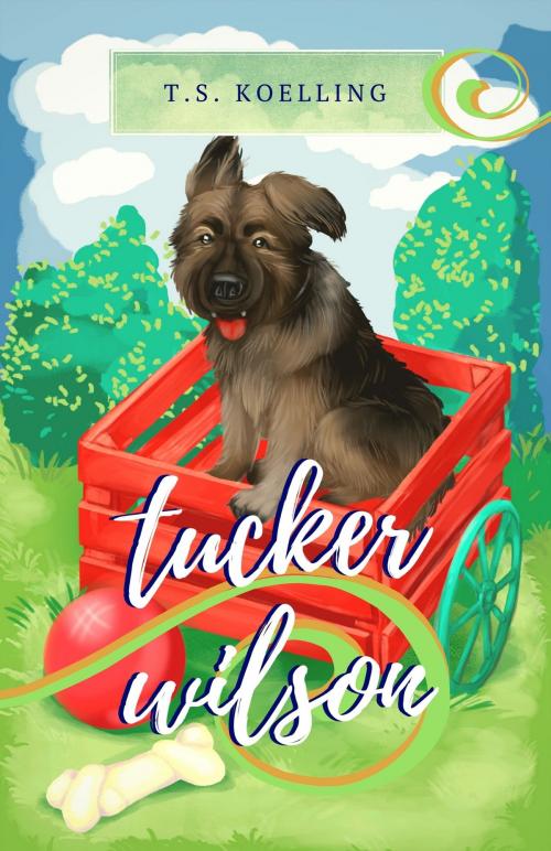 Cover of the book Tucker Wilson by TS Koelling, Words Matter Publishing
