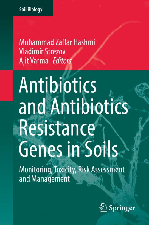 Cover of the book Antibiotics and Antibiotics Resistance Genes in Soils by , Springer International Publishing