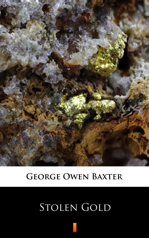 Cover of the book Stolen Gold by George Owen Baxter, Ktoczyta.pl