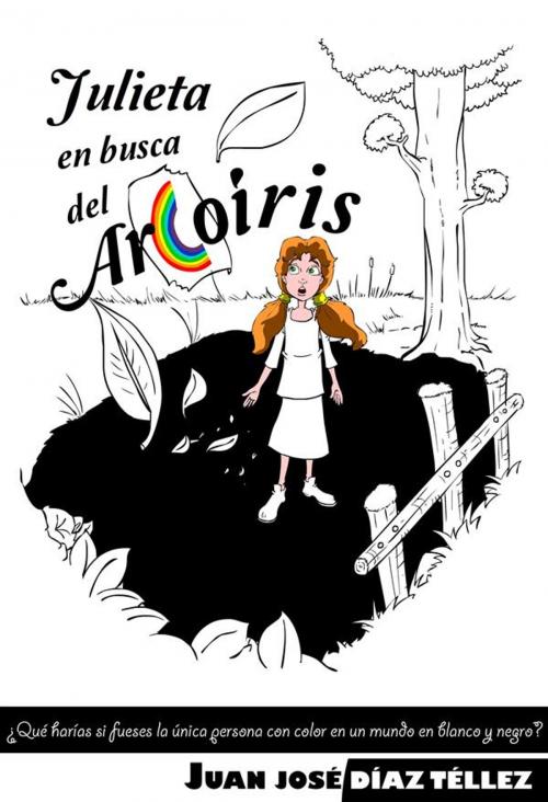 Cover of the book Julieta en busca del arcoiris by Juan José Díaz Téllez, Juan José Díaz Téllez