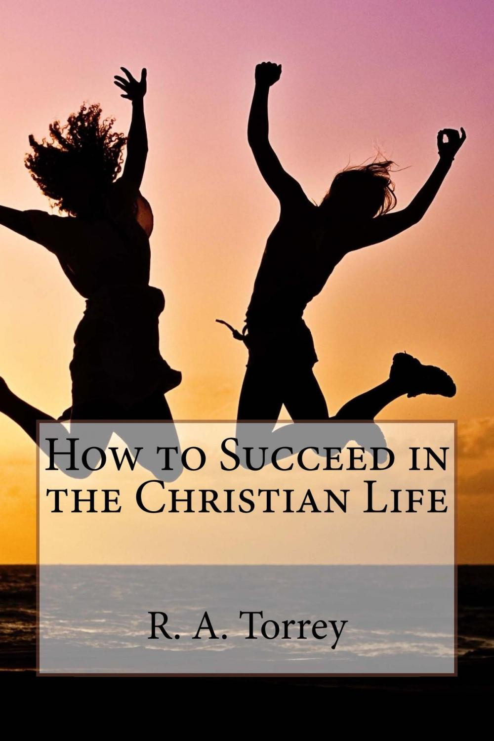 Big bigCover of How to Succeed in the Christian Life