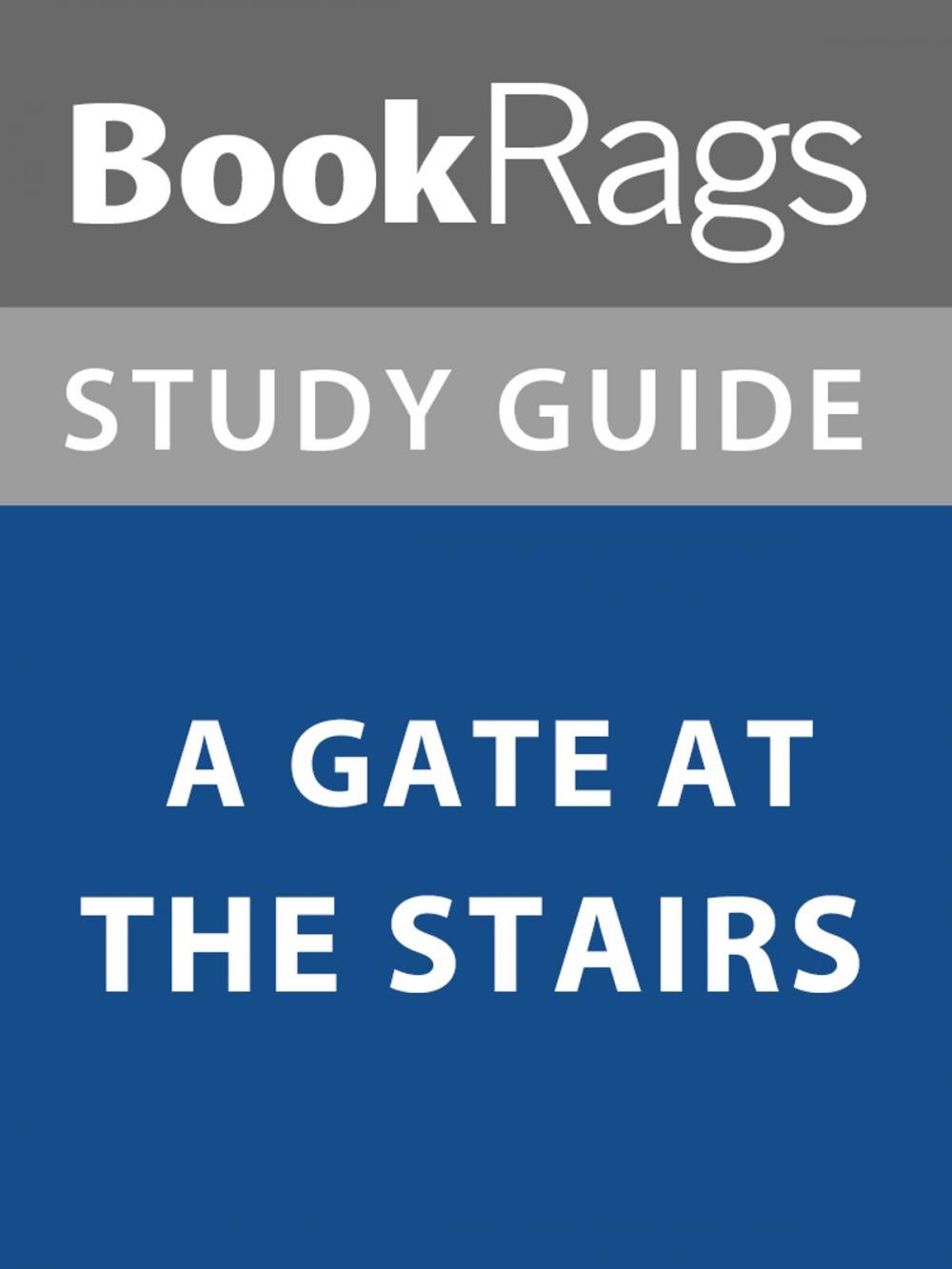 Big bigCover of Summary & Study Guide: A Gate at the Stairs