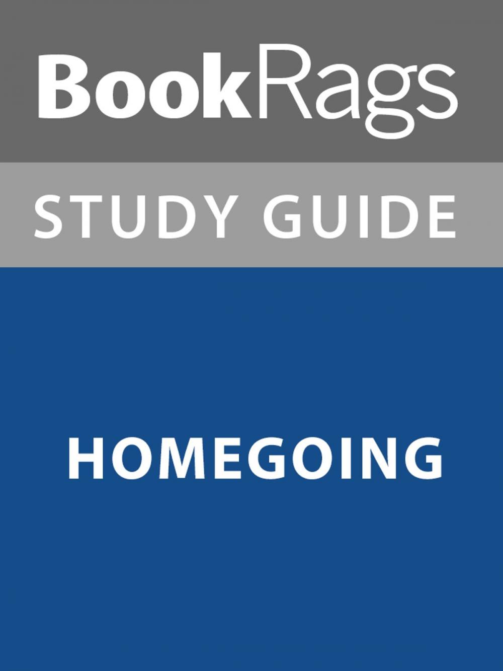 Big bigCover of Summary & Study Guide: Homegoing