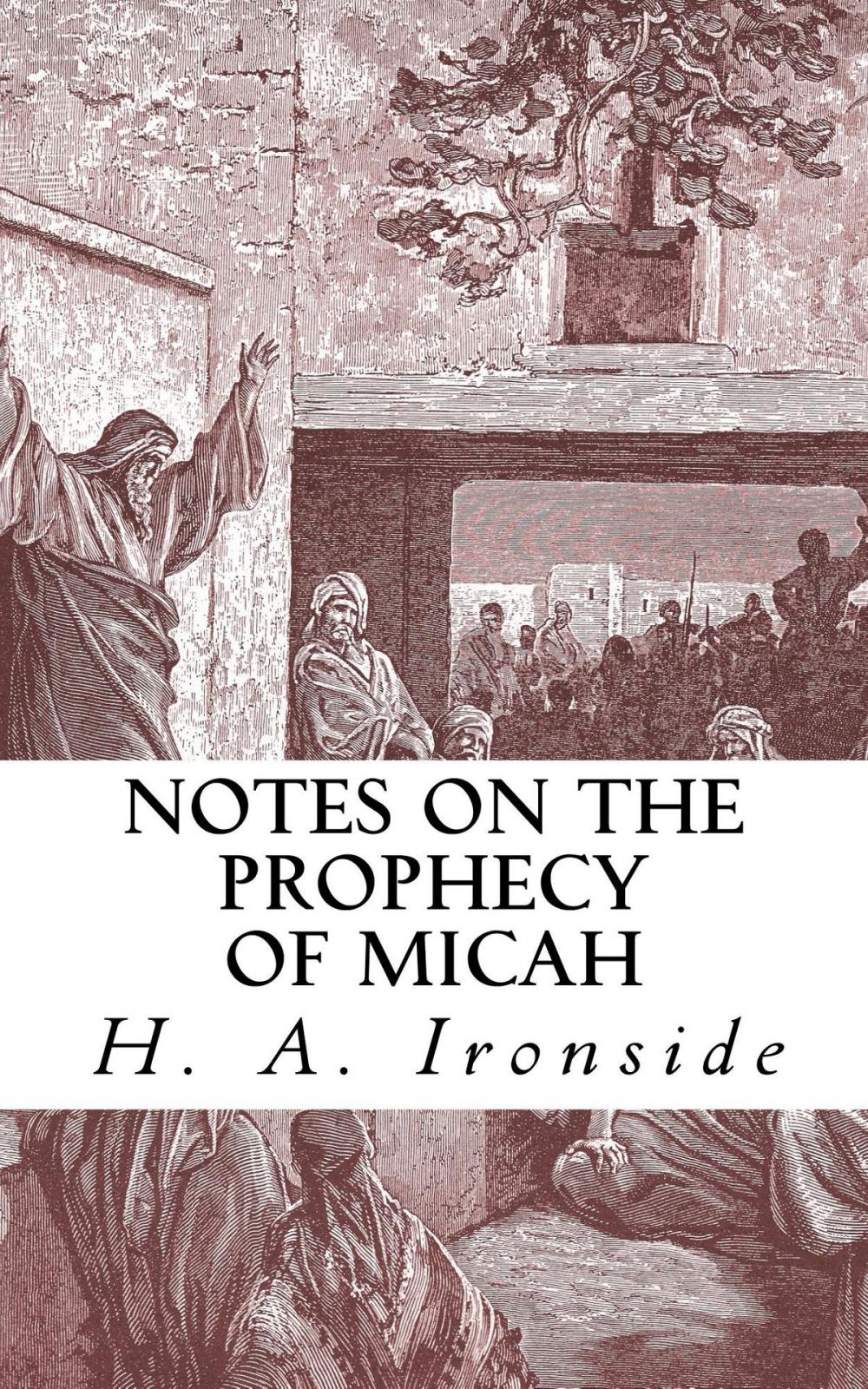 Big bigCover of Notes on the Prophecy of Micah