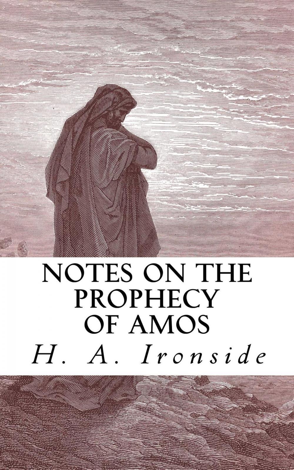 Big bigCover of Notes on the Prophecy of Amos