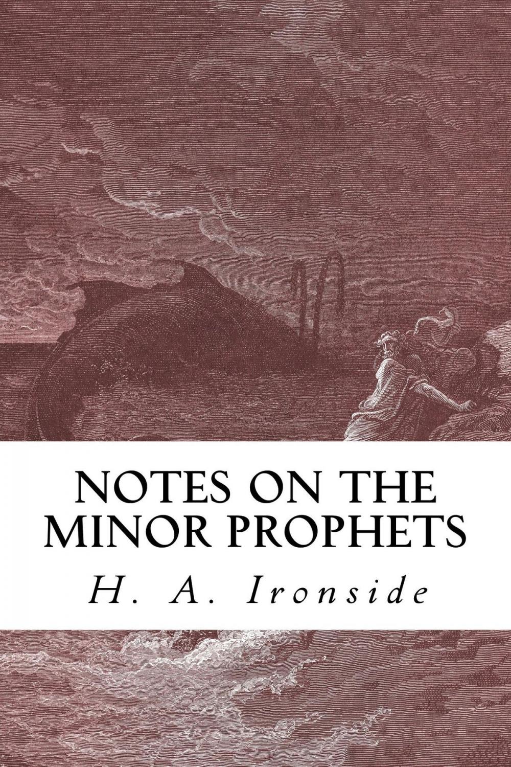 Big bigCover of Notes on the Minor Prophets