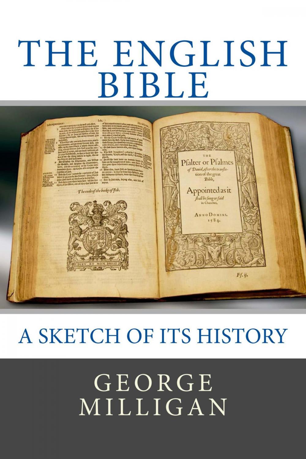 Big bigCover of The English Bible