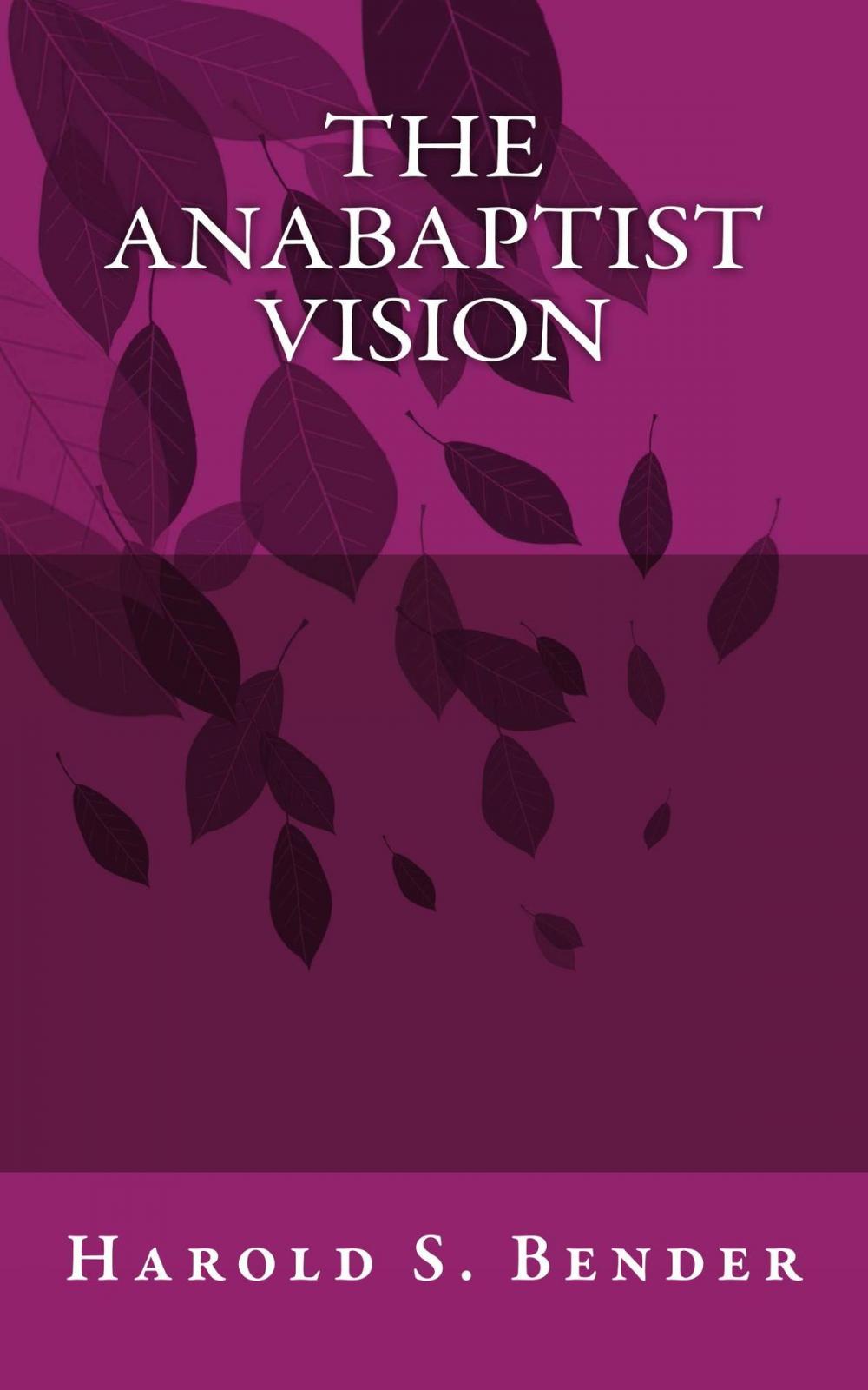 Big bigCover of The Anabaptist Vision