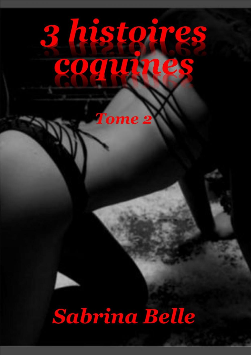 Big bigCover of 3 HISTOIRES COQUINES