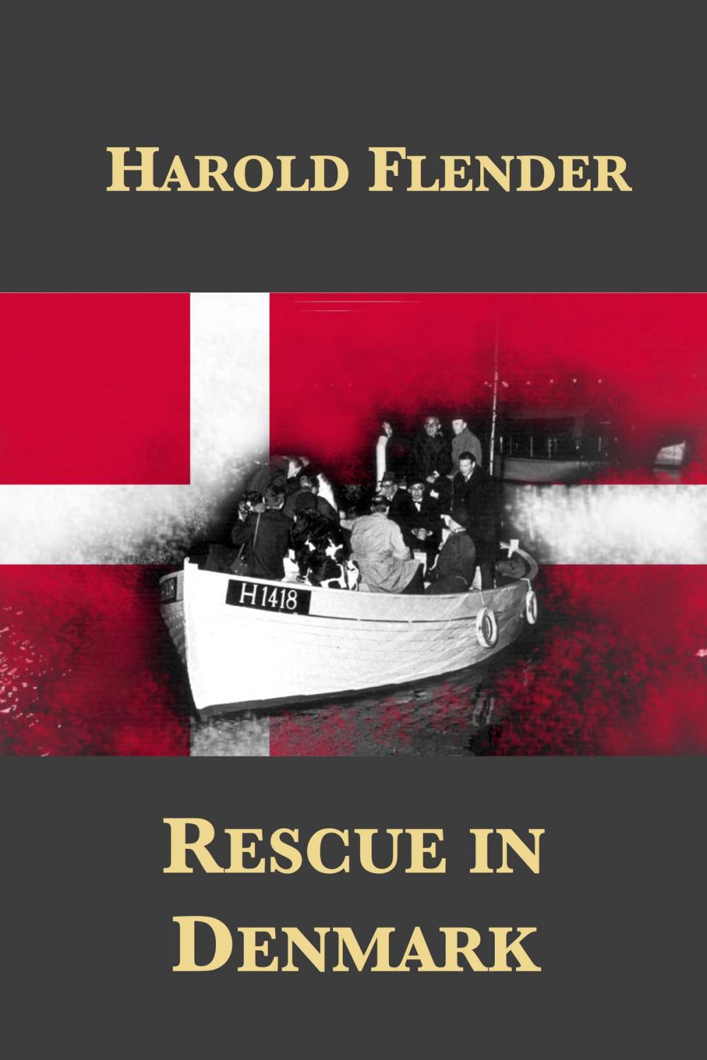 Big bigCover of Rescue in Denmark