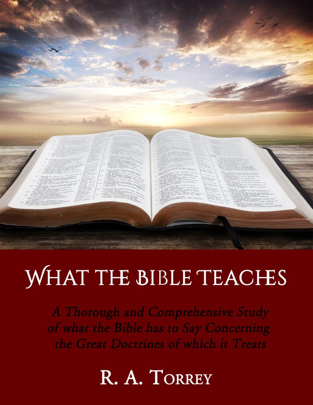 Big bigCover of What the Bible Teaches