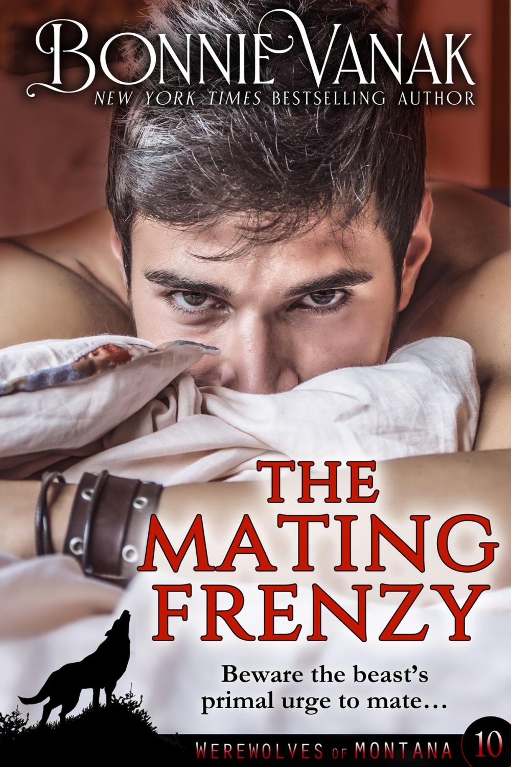 Big bigCover of The Mating Frenzy