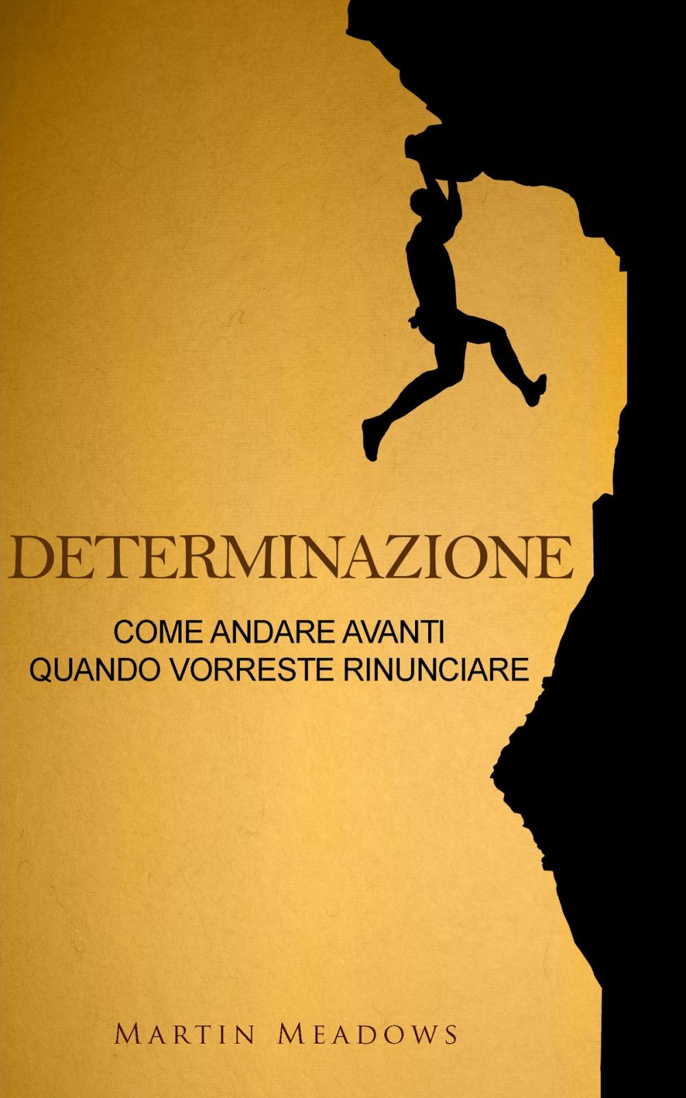 Big bigCover of Determinazione