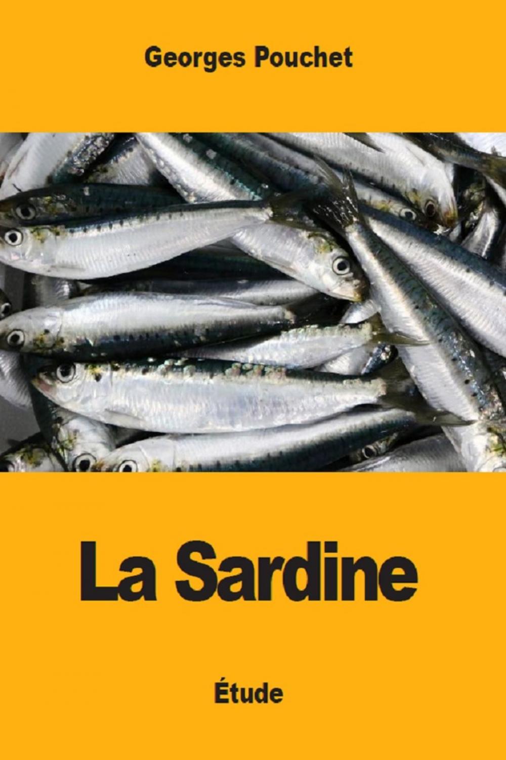 Big bigCover of La Sardine