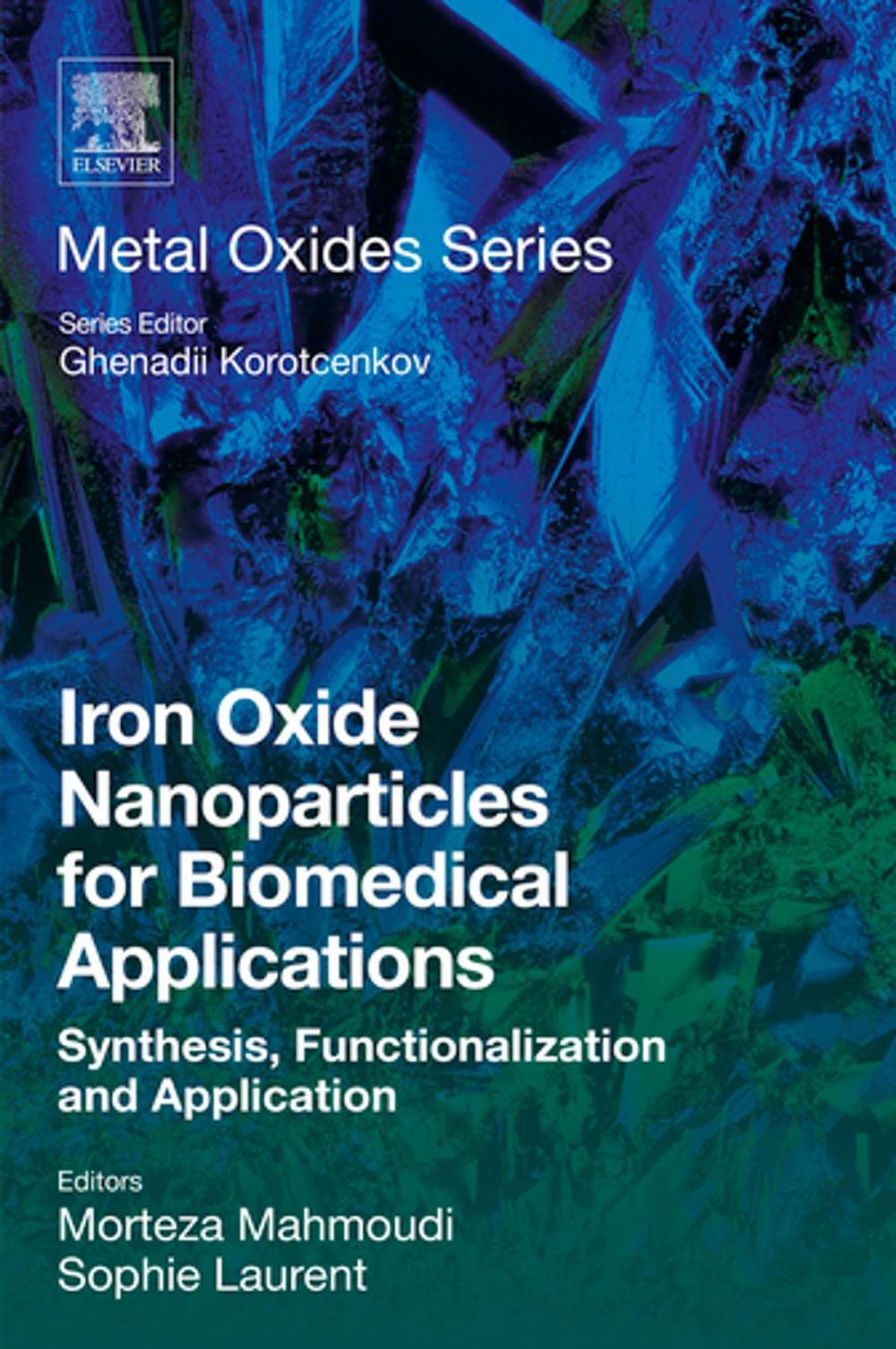 Big bigCover of Iron Oxide Nanoparticles for Biomedical Applications