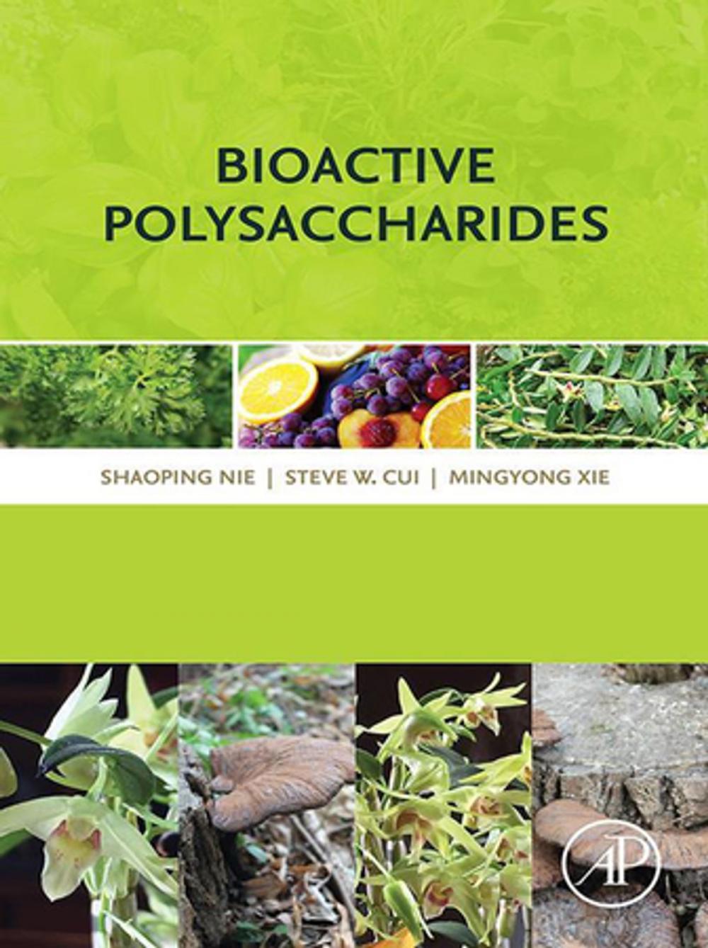 Big bigCover of Bioactive Polysaccharides