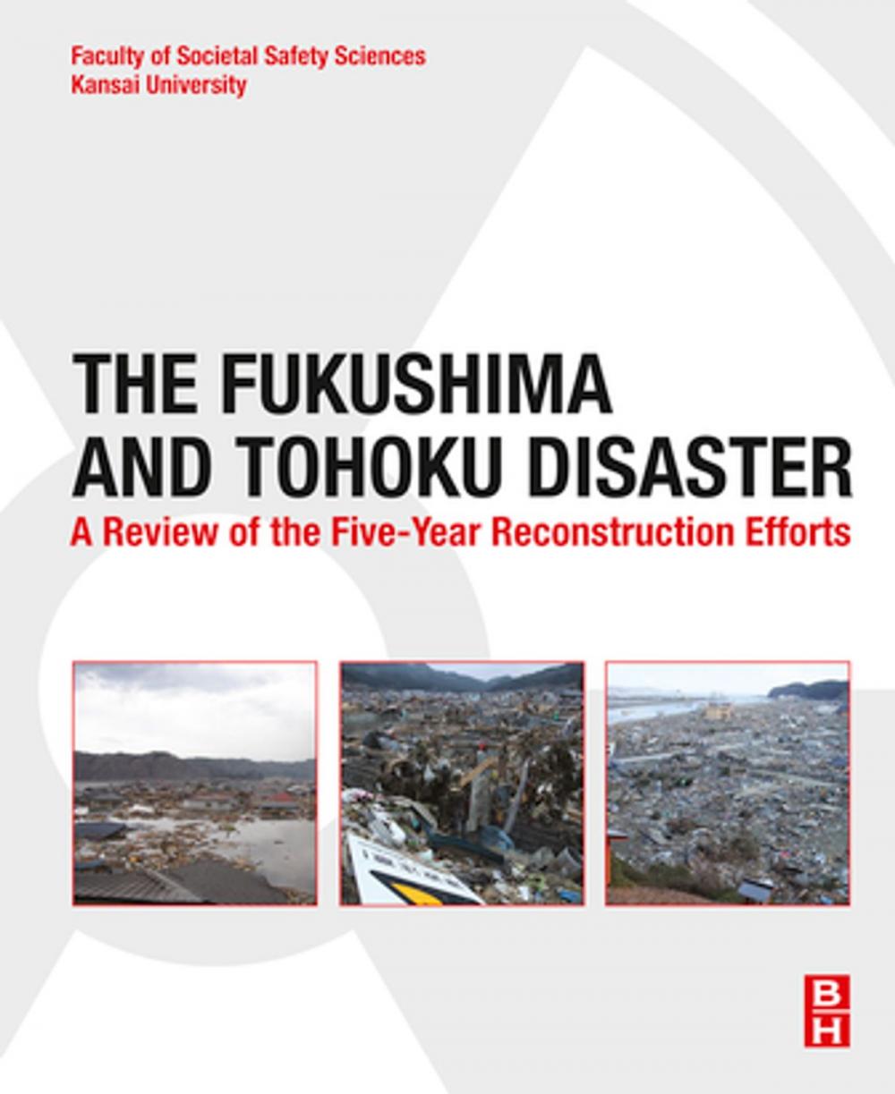 Big bigCover of The Fukushima and Tohoku Disaster