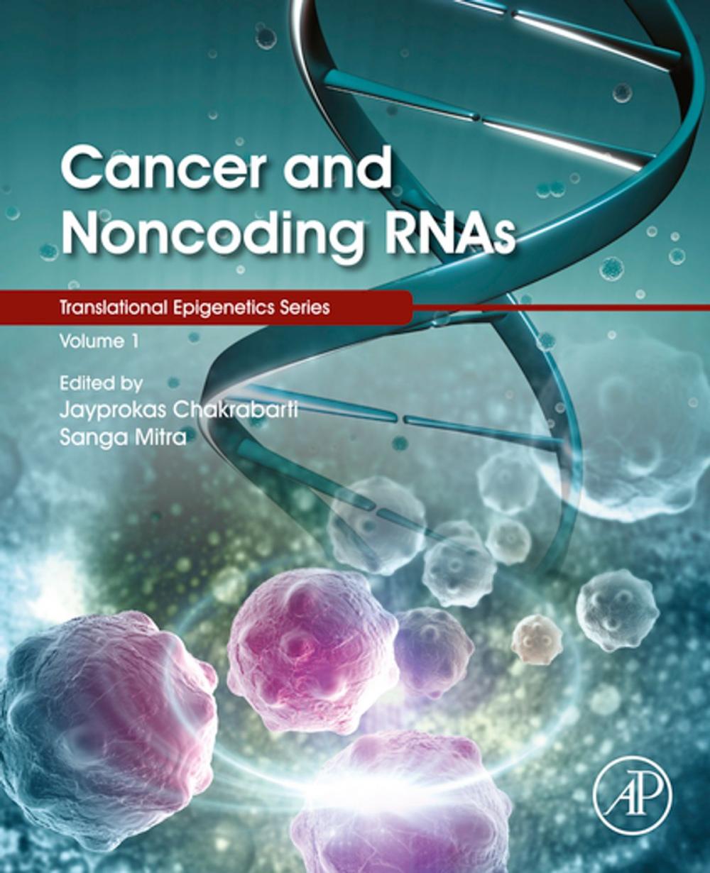 Big bigCover of Cancer and Noncoding RNAs