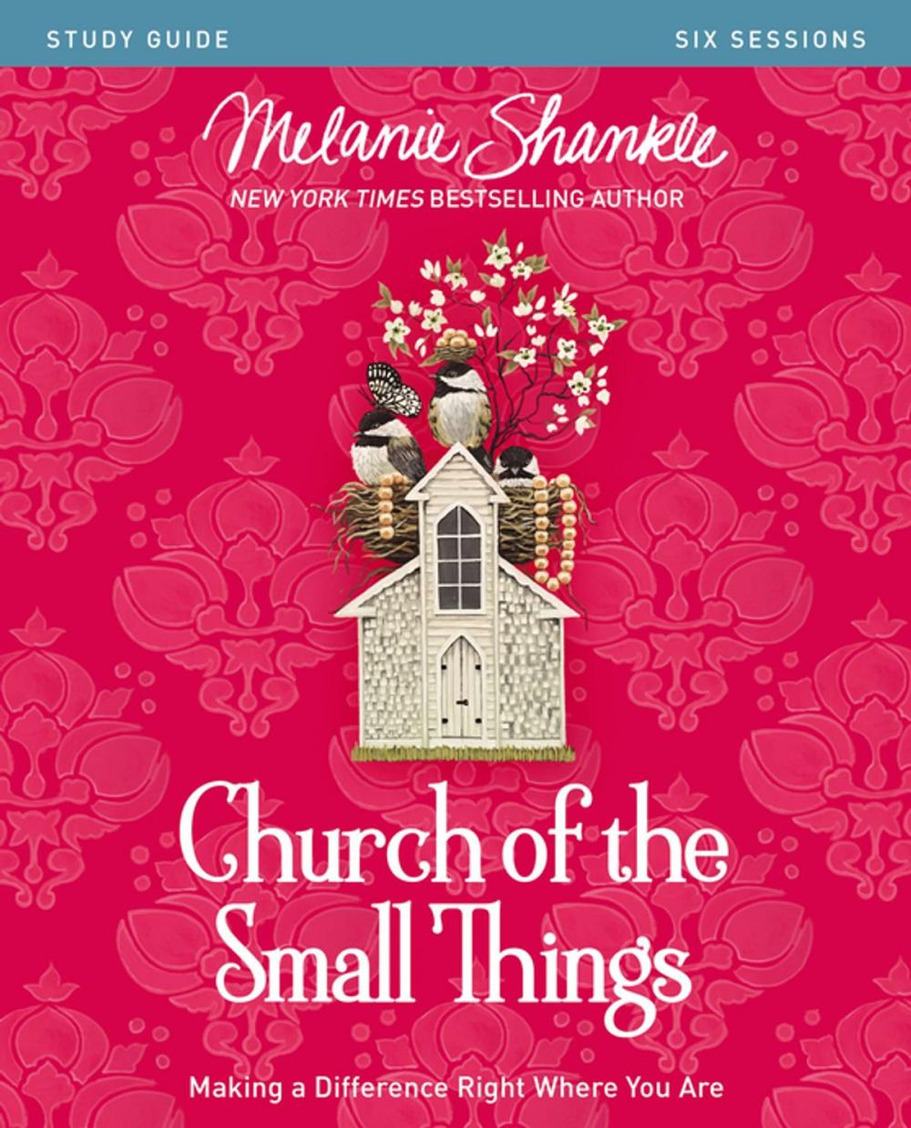 Big bigCover of Church of the Small Things Study Guide