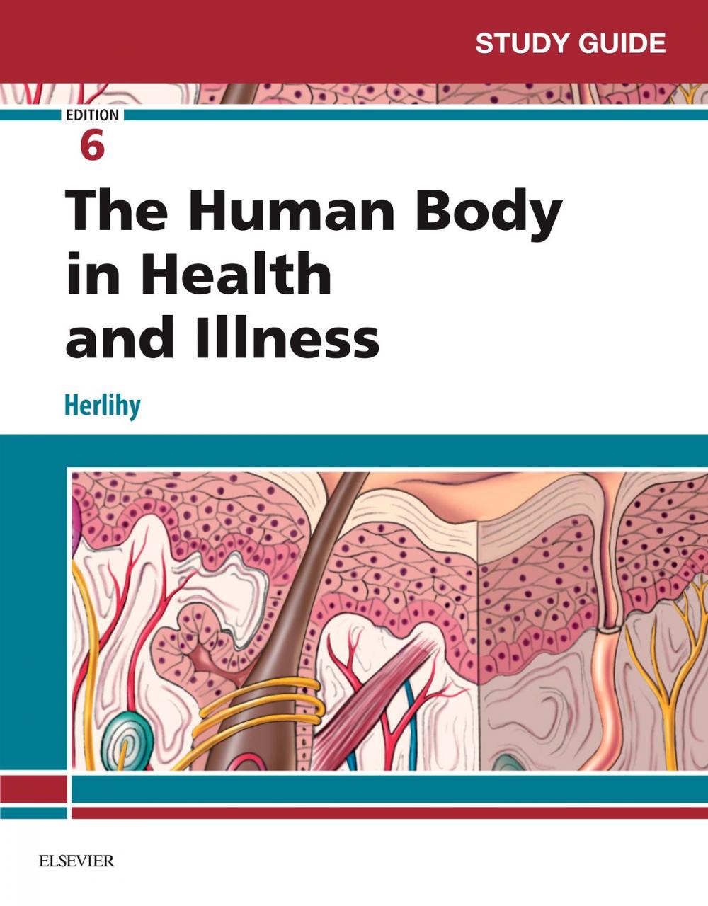 Big bigCover of Study Guide for The Human Body in Health and Illness - E-Book