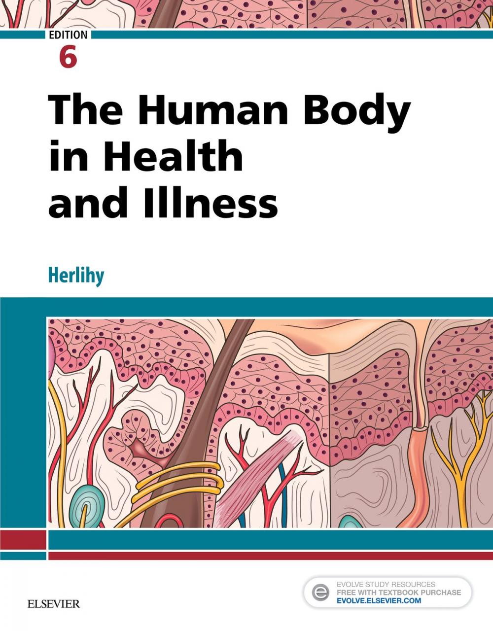 Big bigCover of The Human Body in Health and Illness - E-Book