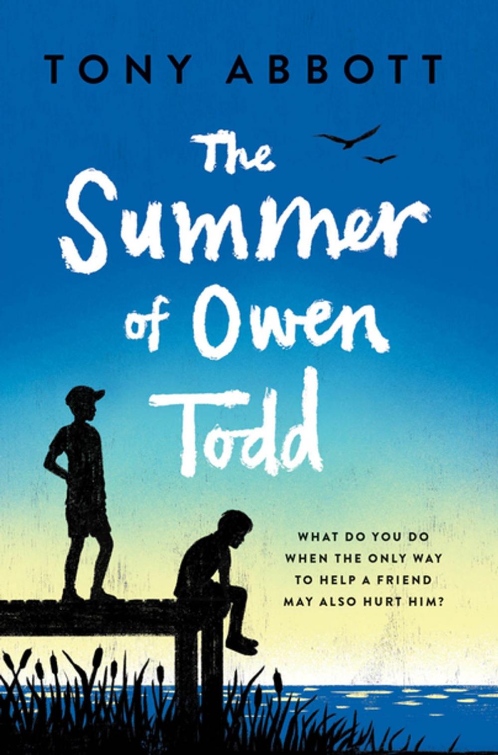 Big bigCover of The Summer of Owen Todd