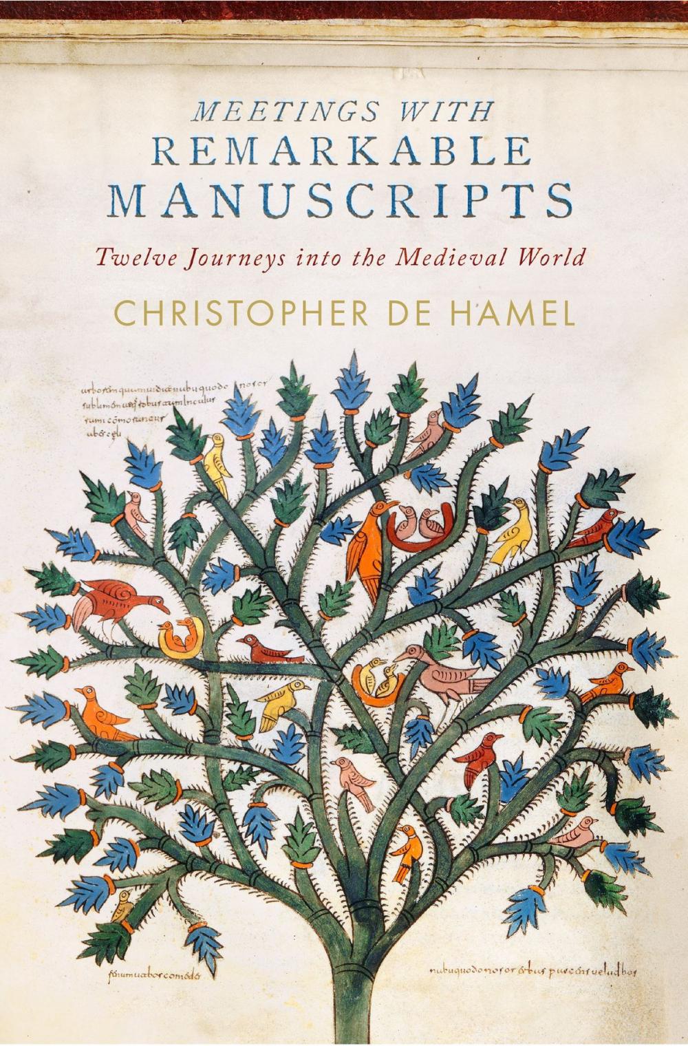 Big bigCover of Meetings with Remarkable Manuscripts