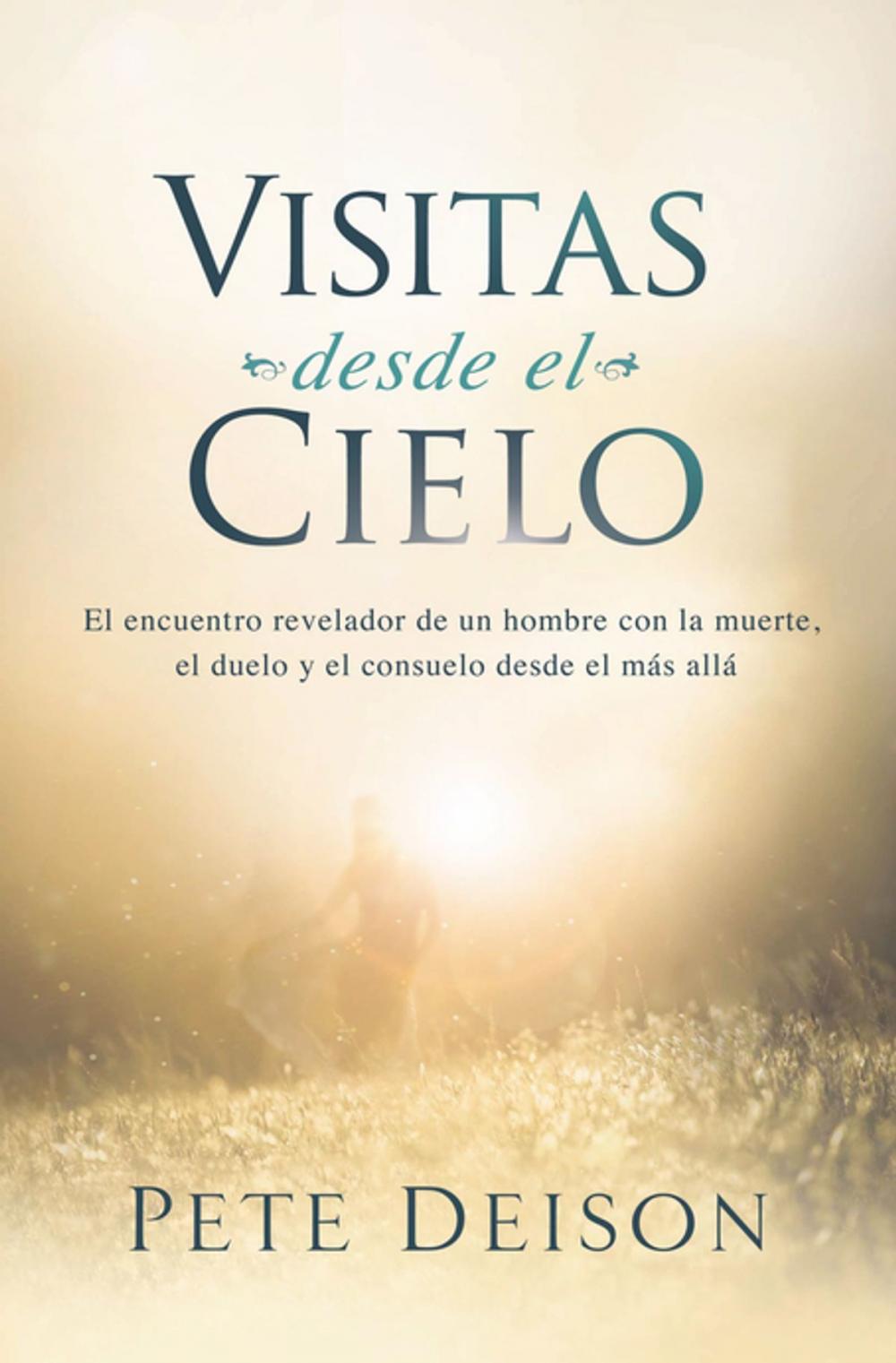 Big bigCover of Visitas desde el cielo